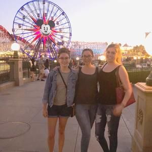 Meet your Posher, Minerva